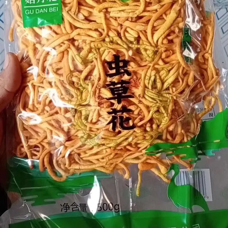新鲜虫草花北虫草自产自销好吃美味东北特产煲汤火锅炒菜虫草菇