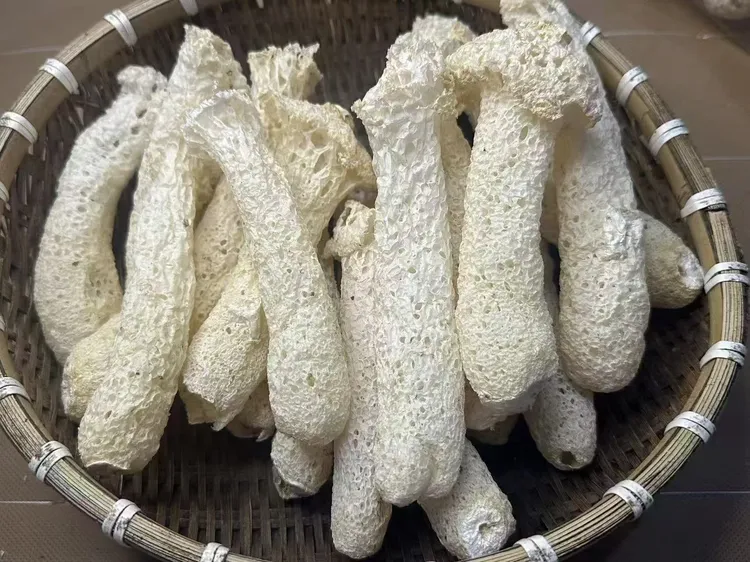 农家无添加竹荪菇，帮爸妈卖竹荪