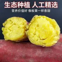 【买三斤送两斤】沙地板栗红薯新鲜现挖粉糯香甜粗粮代餐烤地瓜
