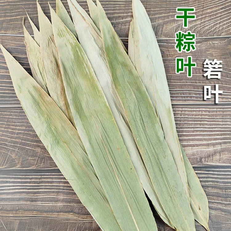 干粽叶新鲜箬叶农家自制包粽子材料粽子辅助材料竹叶子江西箬叶