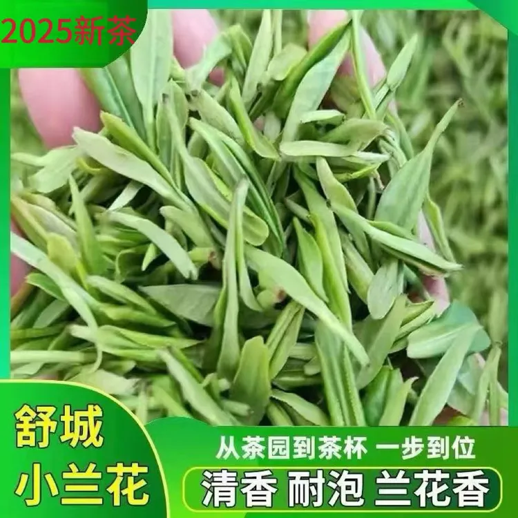 明前新茶茶叶嫩芽绿茶清新兰花香舒城小兰花舒城小兰花2025新茶