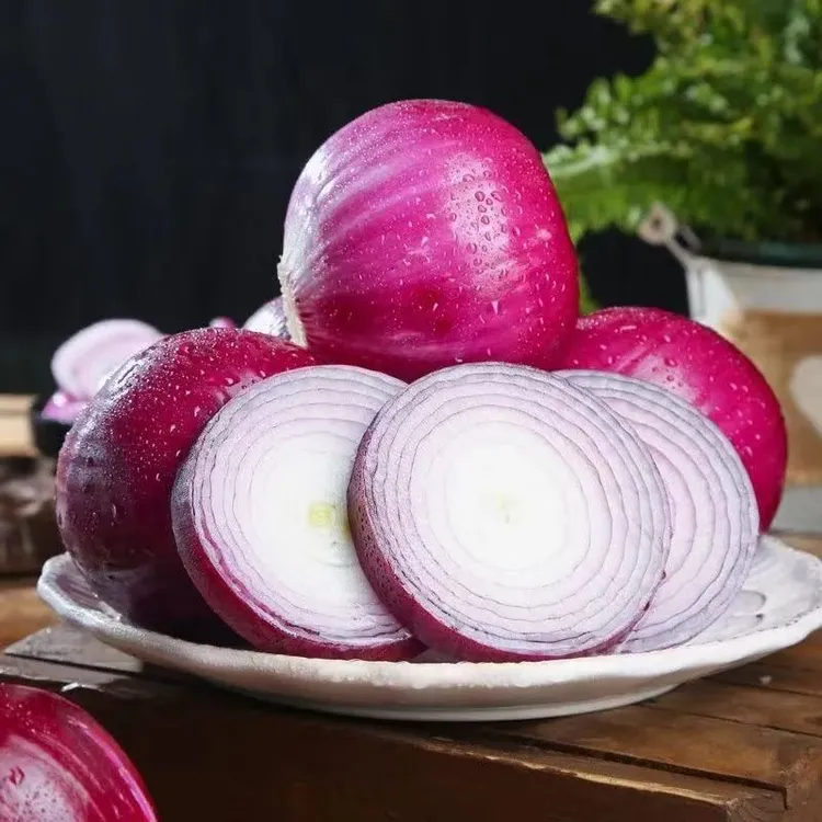 新鲜紫皮洋葱圆葱生吃清脆微辣洋葱带箱9.5-10斤装