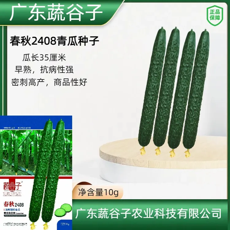 【蔬谷子】2408高产青瓜种子脆爽黄瓜蔬菜种子