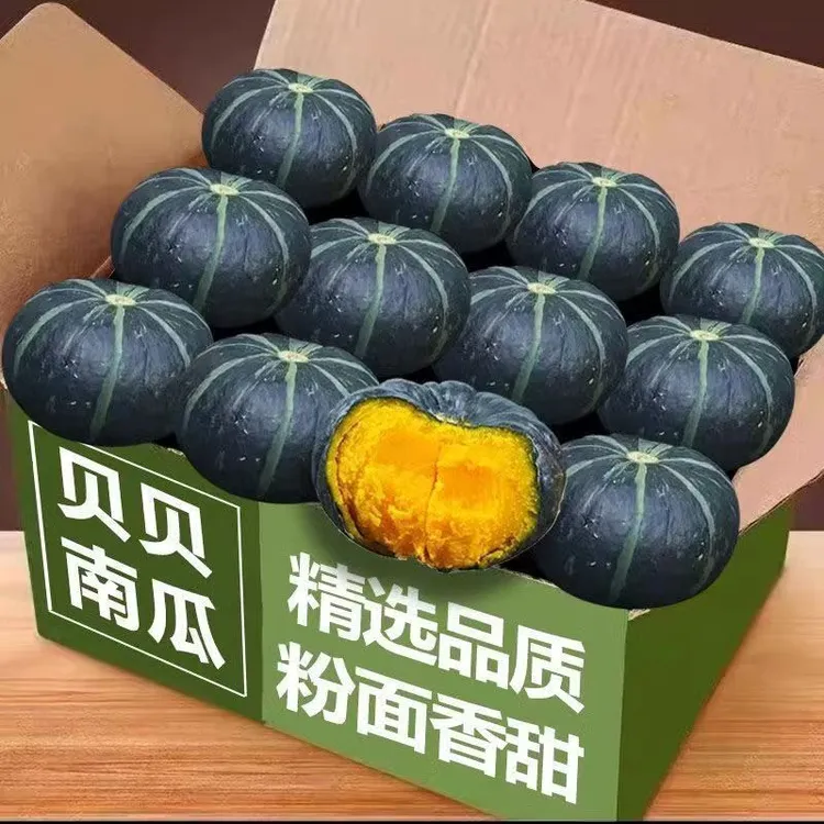 内蒙古贝贝南瓜爆粉爆面农产品生鲜蔬菜辅食早餐9斤装