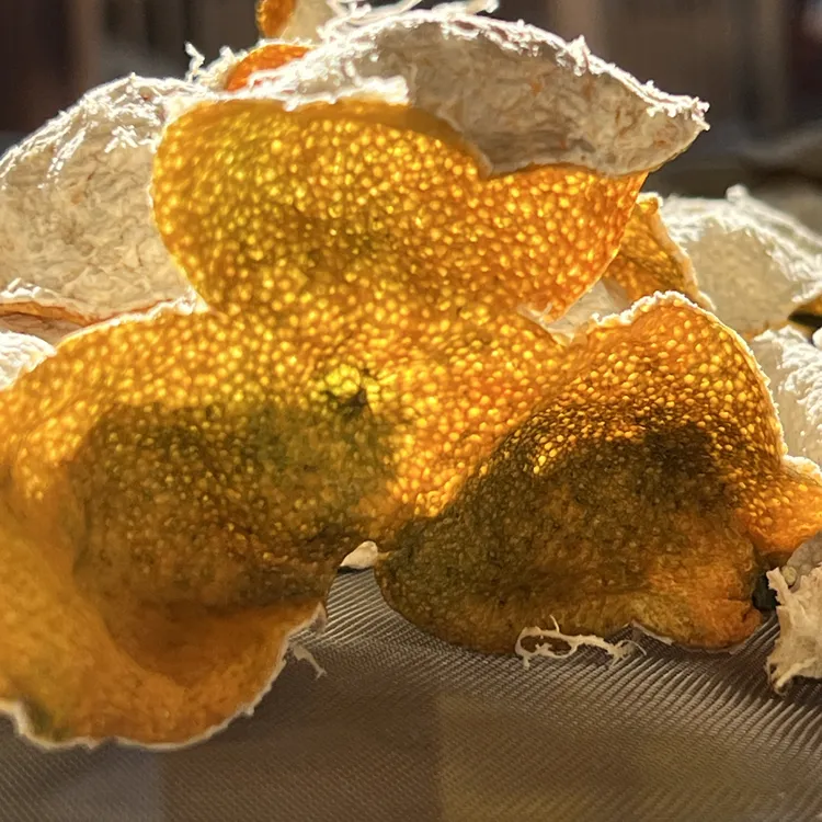 2025年新会天马梅江东甲圈枝二红大红皮蜜香奶香果香收藏老树油皮