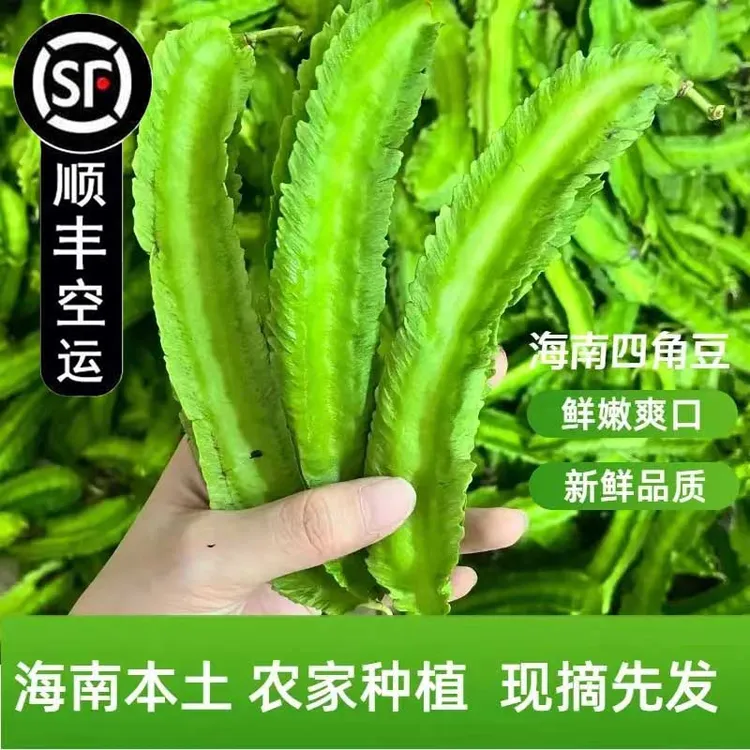 包邮空运1斤到5斤新鲜四角豆海南三亚特产四棱豆杨桃龙豆皇帝蔬菜
