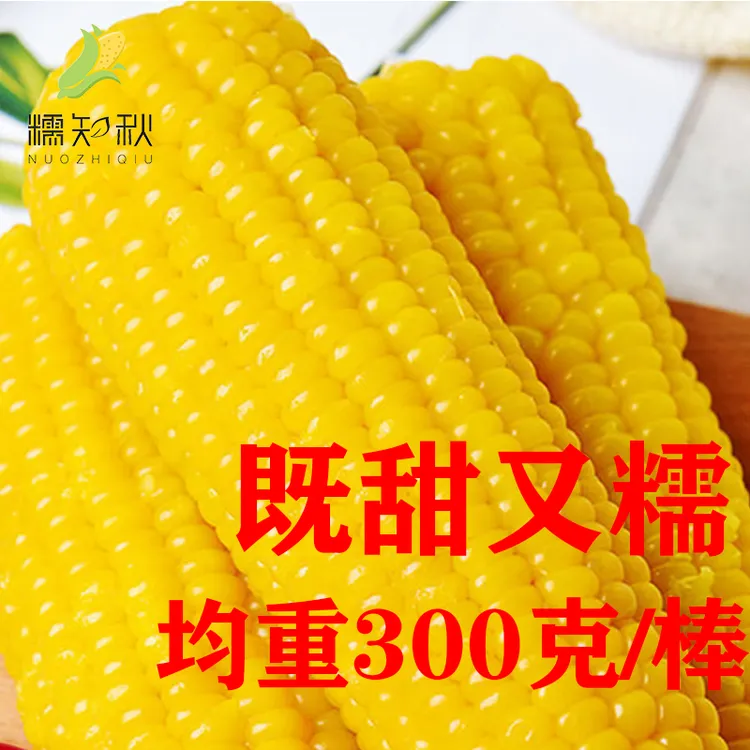 糯知秋正宗东北黄糯玉米新鲜甜糯玉米棒铝箔真空独立包装8根5斤