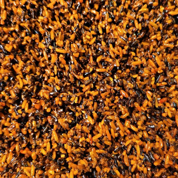 秋冬季野钓鲫鱼鲤鱼酒米打窝料饵料特制发酵窝料单瓶500克.黄黑米