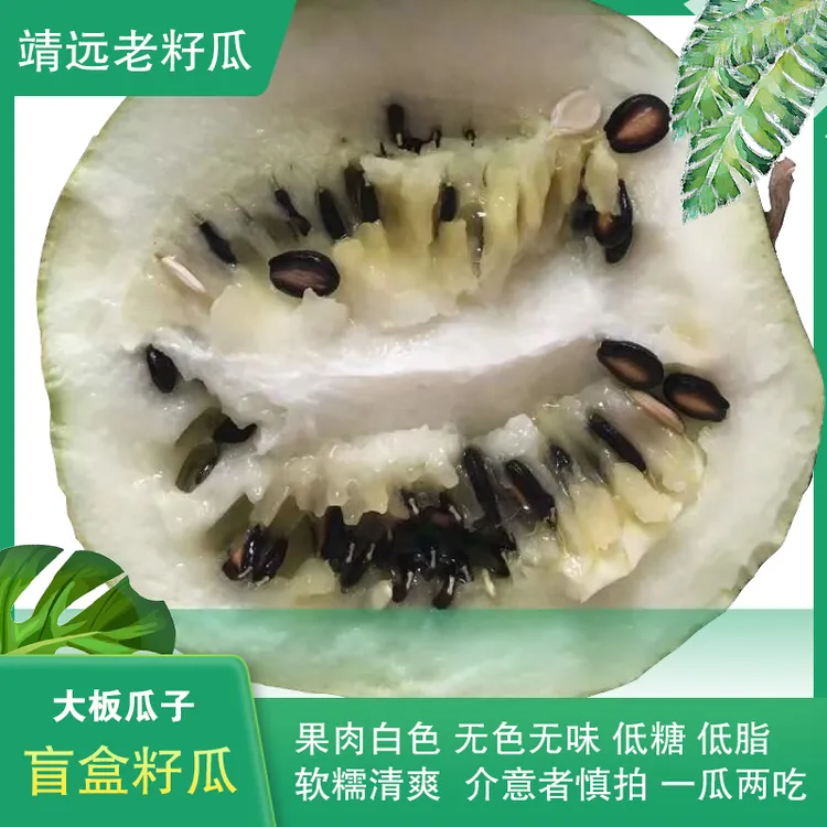 甘肃靖远旱沙地老籽瓜靖远大板瓜子籽瓜打瓜