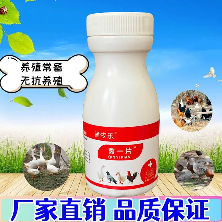 正品禽一片禽类鸟专用玄凤虎皮鹦鹉鸽子抗病毒调节免疫流感冒咳嗽