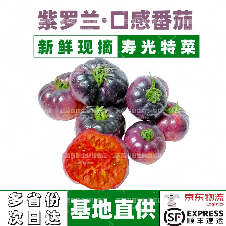 寿光特菜紫罗兰口感番茄火山番紫元帅沙瓤番茄