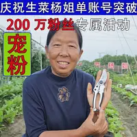 刘盛P-870枝剪果树剪粗枝剪家用手剪园林剪指剪工具