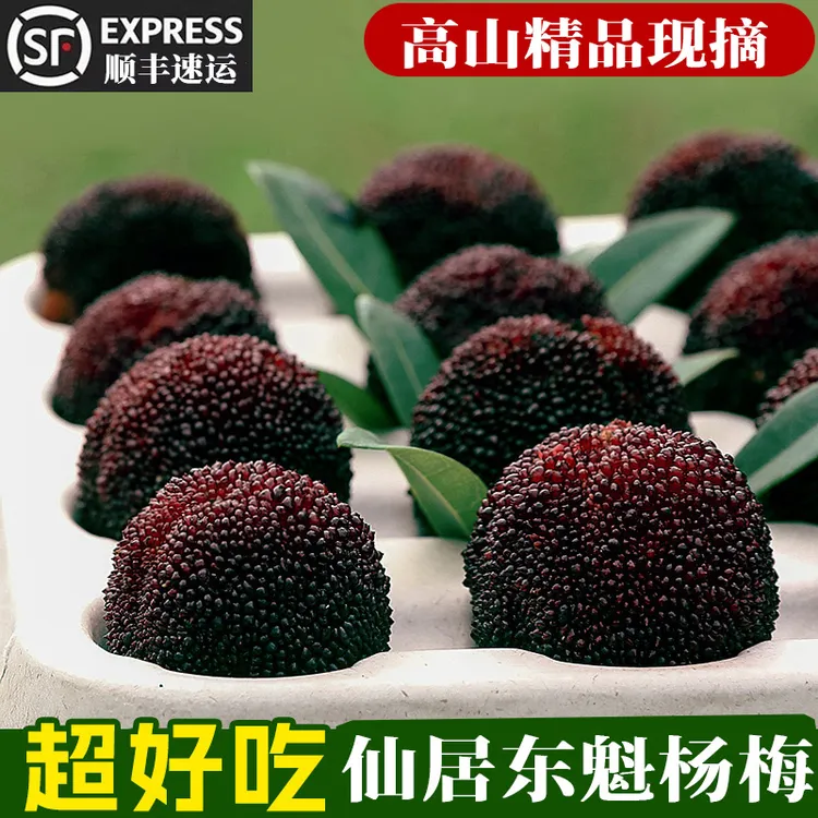 9A【特大果现摘】仙居杨梅浙江东魁杨梅新鲜水果原产地台州顺丰速运