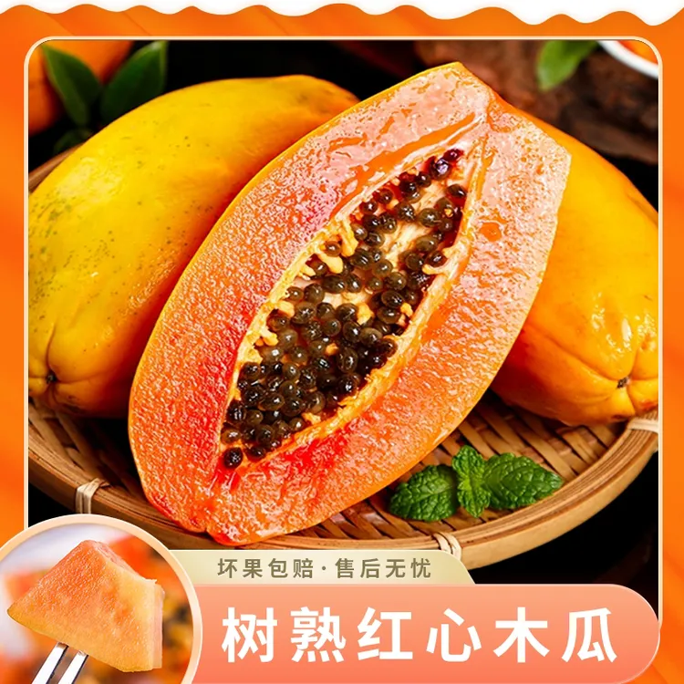 【遊园果纪】广东雷州树熟红心木瓜2.5-4.5斤