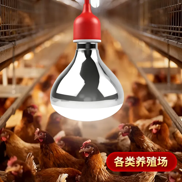 耐高温防水带开关通用型畜牧养殖纯铜电源插头延长线E27螺口灯头