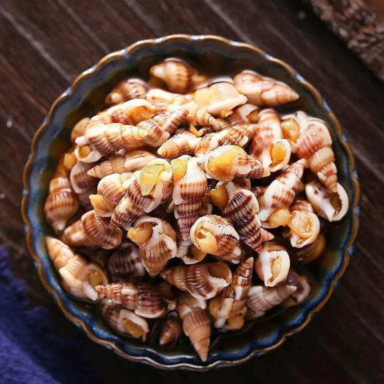 二界沟海螺丝海锥海瓜子顺丰发货赠送草原红太阳辣炒料