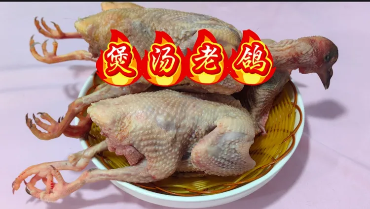 3-5年灰色煲汤老鸽，现场宰杀称重打包，新鲜发货。