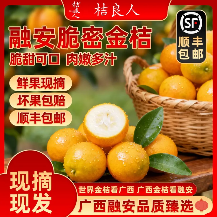 【第三代】融安脆蜜金柑脆蜜金桔纯甜高端新鲜水果现摘现发新鲜水果
