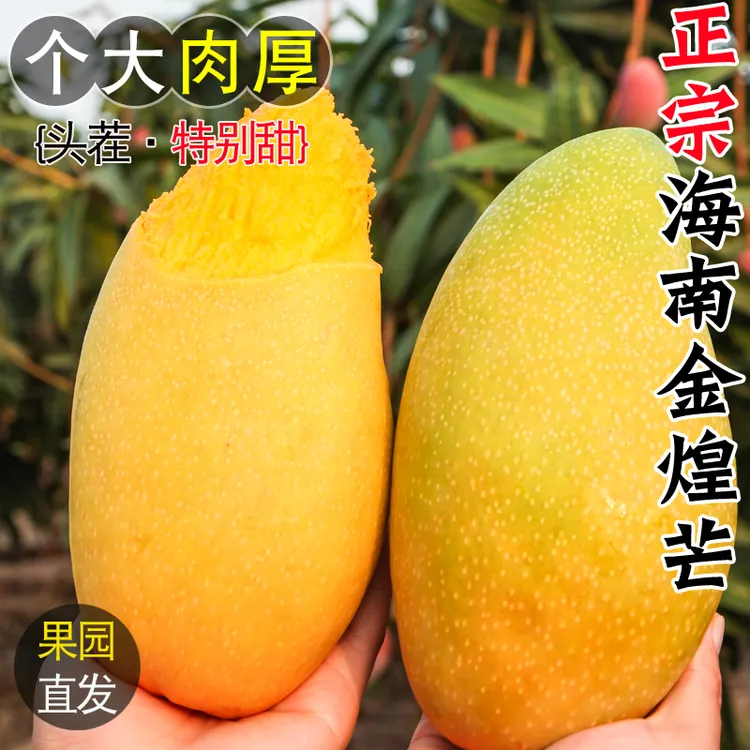 海南金煌芒果新鲜水果当应季整箱3/4.5/8斤三亚特大果青甜水仙芒