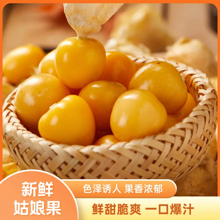 东北菇娘果灯笼果新鲜采摘当季水果整箱包邮