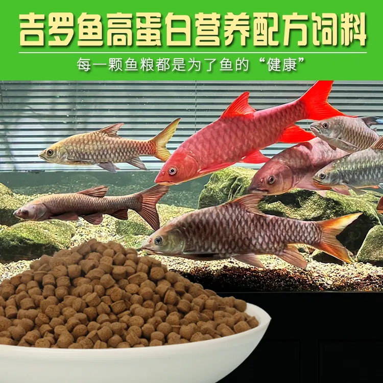 三木森吉罗原生鱼饲料缓沉颗粒观赏鱼饲料金鱼锦鲤增肥增色通用型