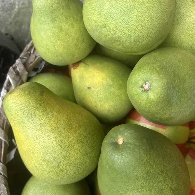 高山小香柚五斤包邮