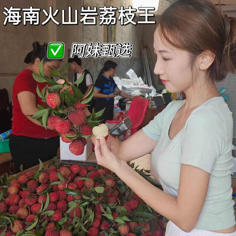 椰岛阿妹【顺丰空运】海南火山岩荔枝王海南直发超大巨无霸纯甜爆汁