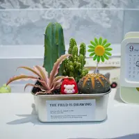 ins风多肉植物沙漠景观仙人掌耐干易养精致轻奢高级沙漠便当成品
