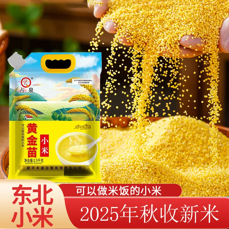 2025年秋收黄金苗小米