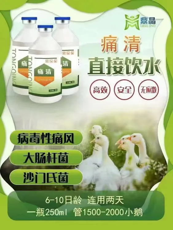小鹅痛风饮水一瓶管1500-2000只 不用打针 禽饲料用品添加剂