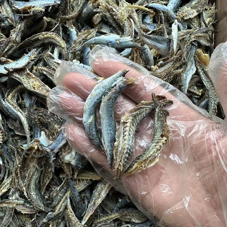 南澳特产 竹叶花仙鱼肉 苦瓜煲茄子煲炒青椒爆炒南澳特色菜