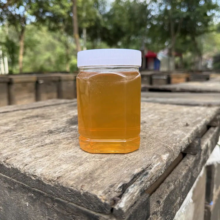 益母草山花蜜伏牛山女贞子蜜纯正天然野生乌柏蜜成熟原蜜百花蜜