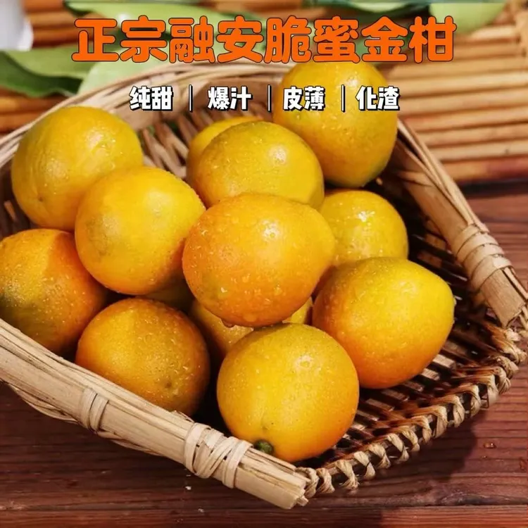 【脆蜜金桔】正宗广西融安脆蜜金柑纯甜新鲜带皮吃金桔水果坏果包赔
