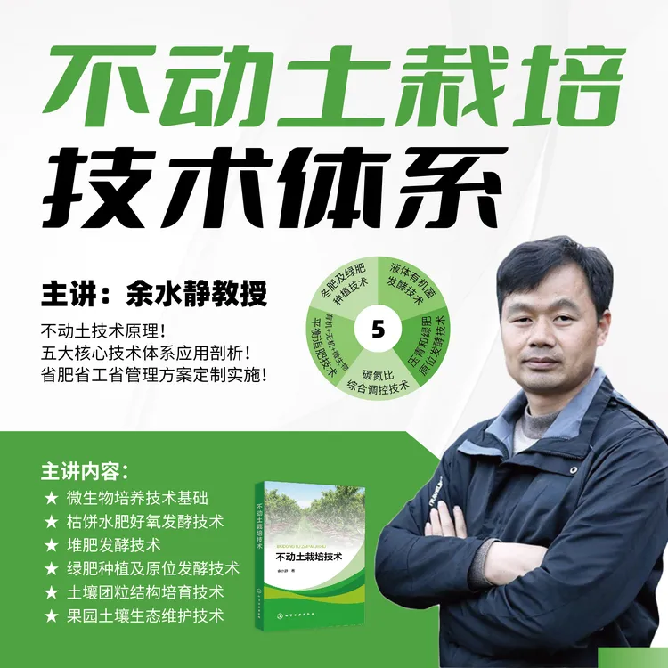 不动土栽培技术体系