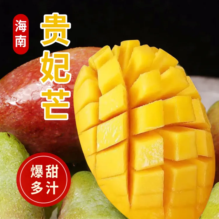 海南贵妃芒5斤新鲜水果红金龙芒果现摘现发F2