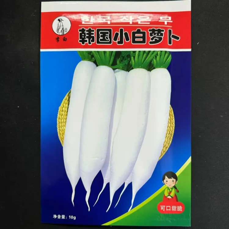 李白小白萝卜种子