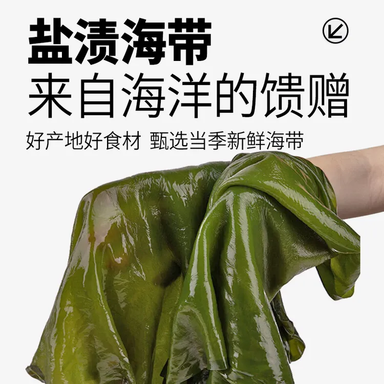 【新货】新鲜海带5斤海带包饭盐渍火锅厚海带煲汤整片海藻裙带菜