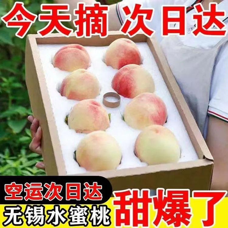 【买6送6到手12只】礼盒装正宗无锡水蜜桃新鲜水果应季白凤湖景软桃