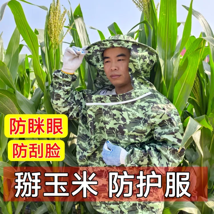 玉米地用防护面罩干农活防刮脸防蚊虫透气掰玉米专用防护衣帽