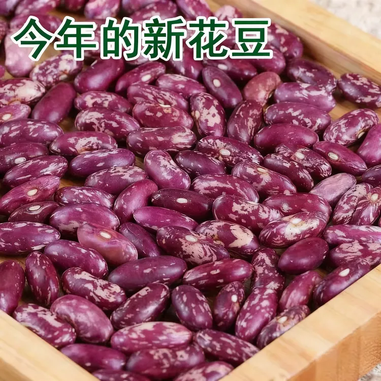 贵州酸菜豆米新花豆云豆 芸豆花豆子新四季豆四季豆紫花芸豆
