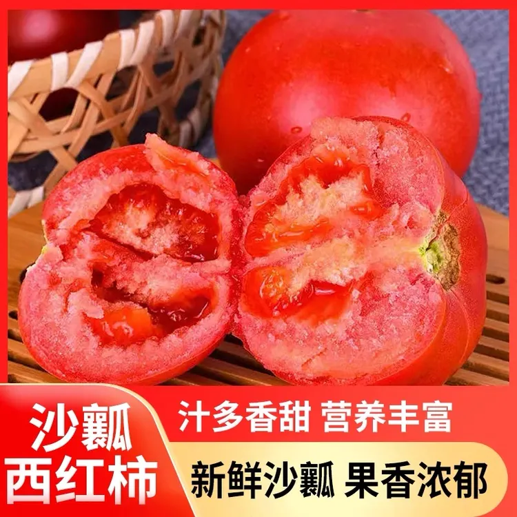 云南沙瓤西红柿露天种植自然熟酸甜多汁产地现摘新鲜水果蔬菜