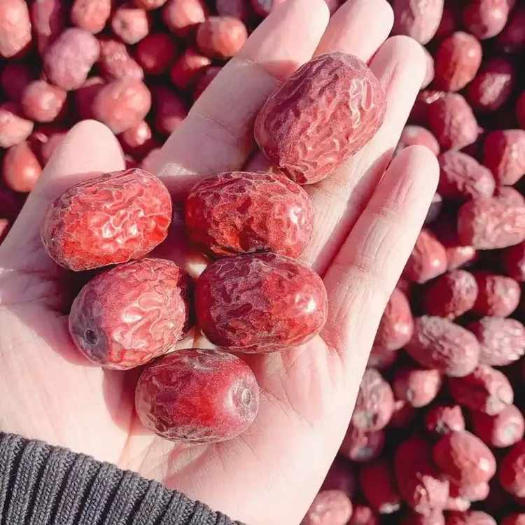 （产地直发）小灰枣原生态吊干灰枣新疆特产灰枣 五斤