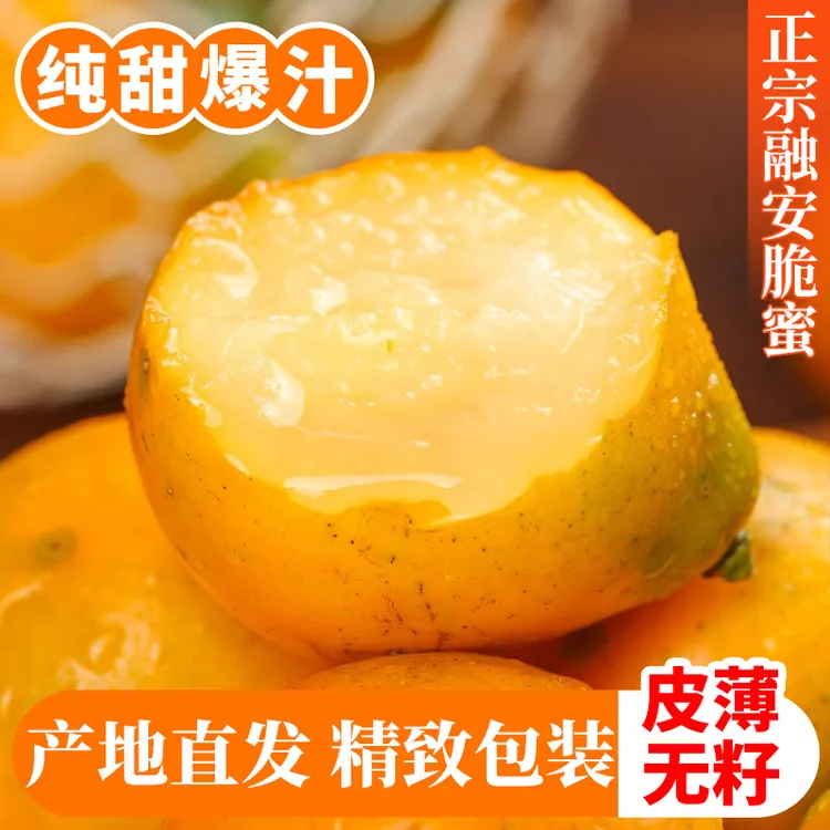 山内蜜探第三代【脆蜜金柑特大果】爆甜正宗融安脆蜜金桔当季水果鲜