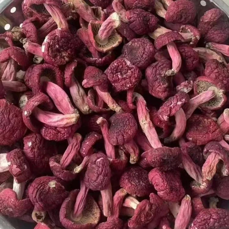 佳佳姐干货广西梧州藤县野生大红菌红菇煲汤滋补月子菇营养美味