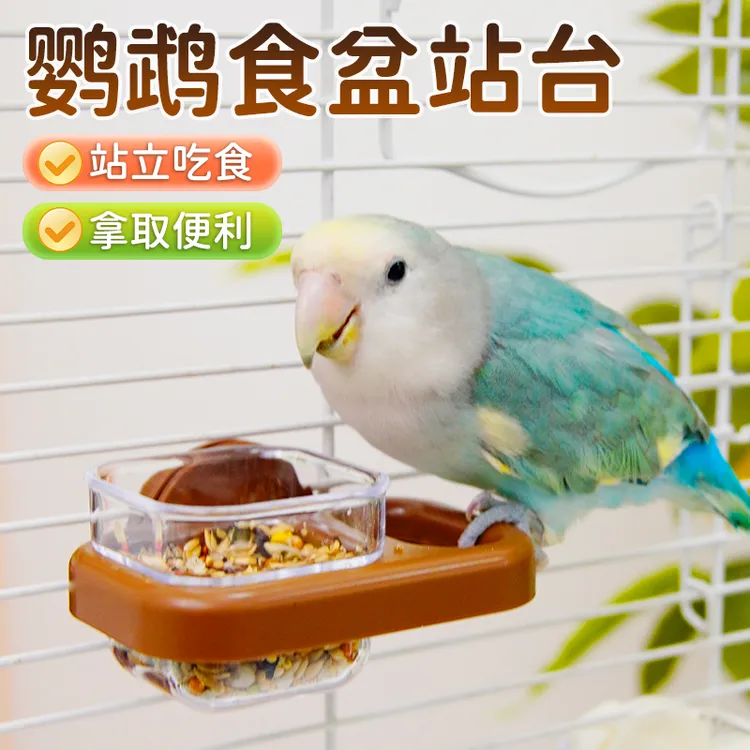 【宠大条】鹦鹉鸟饮水器方形玄凤鸟笼站台饮水喂食两用喂鸟器食盒