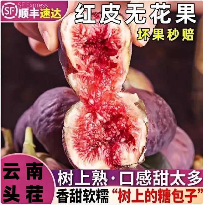 【顺丰头茬鲜果】云南红皮无花果鲜果现摘发货老味道无花果当季水果