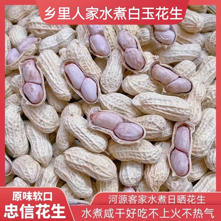 25年新果正宗水煮日晒花生原味带壳坚果零食独立包装包邮