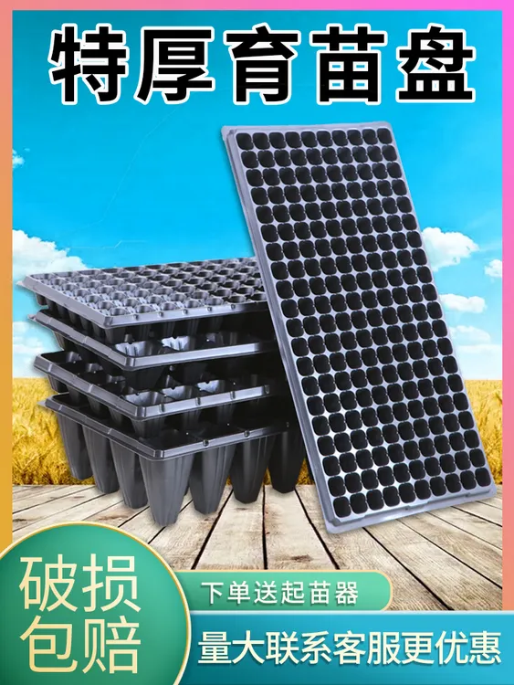 超厚玉米高粱加厚穴盘育苗盆育秧盘辣椒种植盘育苗育苗盘育苗盘
