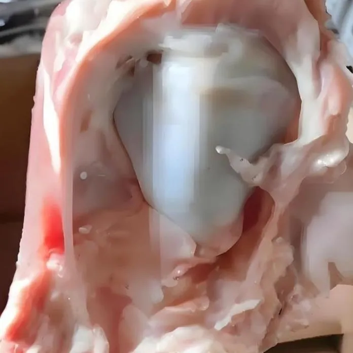 原味黄牛剃骨窝骨筋新鲜美味顺丰包邮