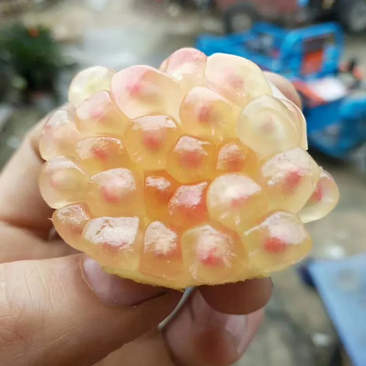 怀远石榴，红花玉石籽石榴，薄皮，多汁，酸酸甜甜。